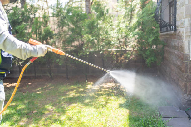 Best Mosquito Control  in Murrells Inlet, SC